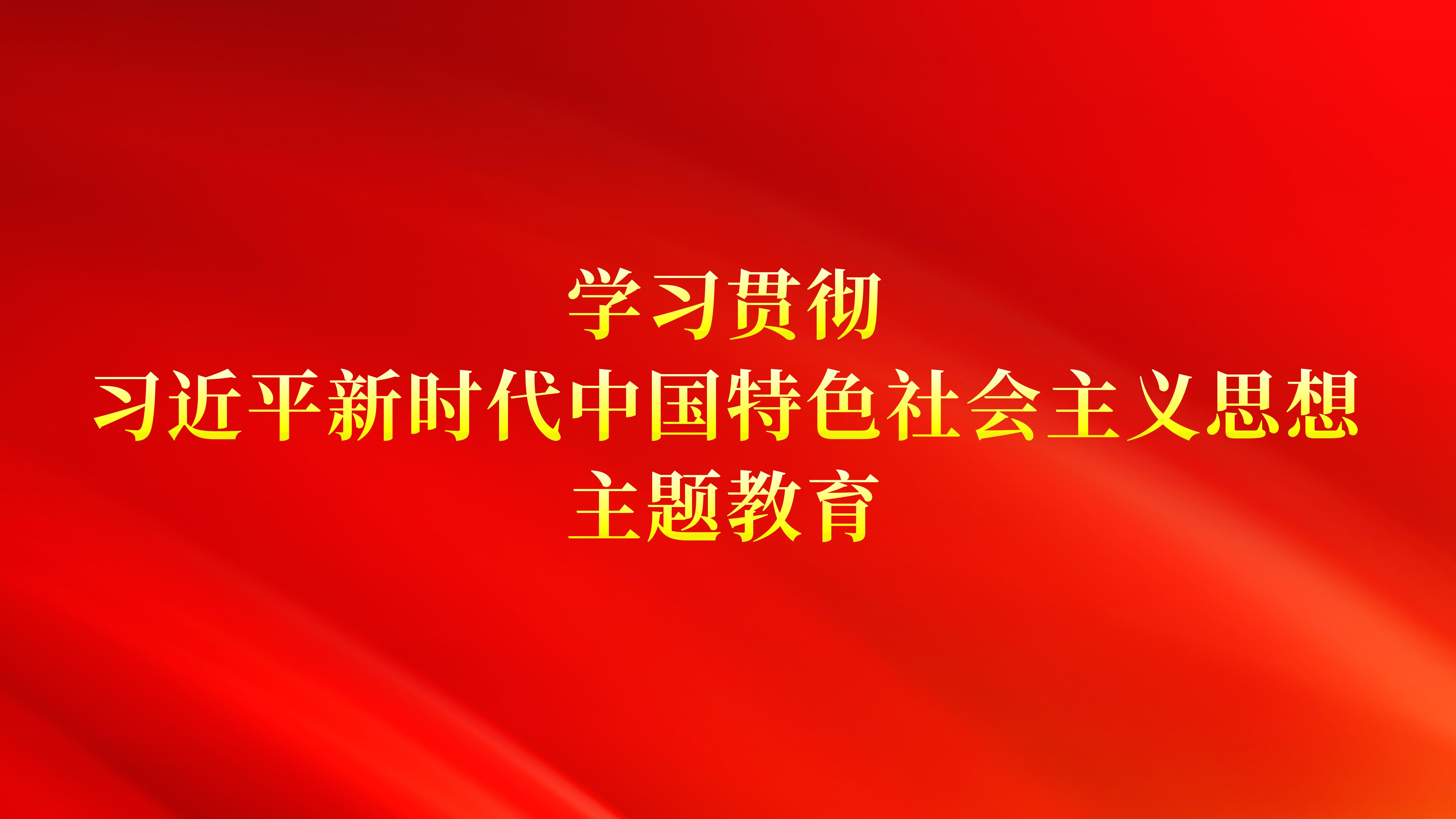 学习贯彻习近平新时代中国特色社会主义思想主题教育